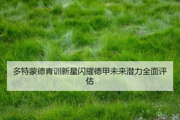 多特蒙德青训新星闪耀德甲未来潜力全面评估